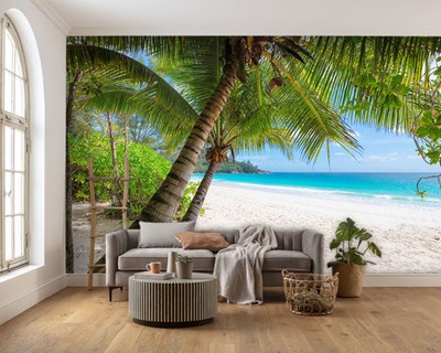 Palmboom en strandbehang