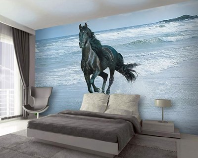 Paard dat langs de kust rent met afbeelding op muurbehang