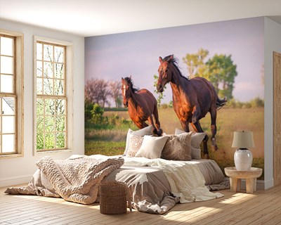 Snel rennend paard met afbeelding op behang