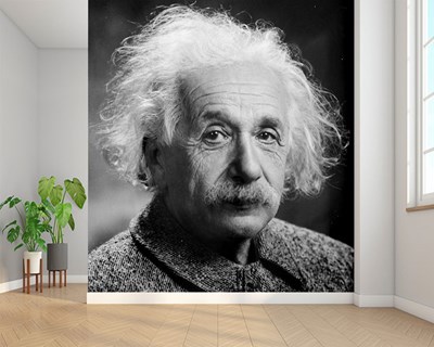 Albert Einstein fotobehang 