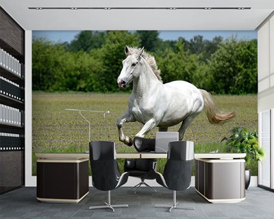 Rennende paarden behang met uitzicht