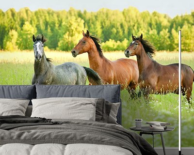 Behang met paarden en natuurlandschap 