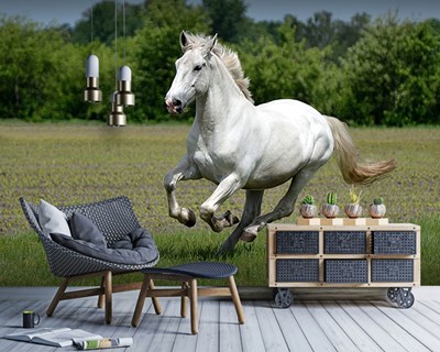 Rennende paarden behang met uitzicht
