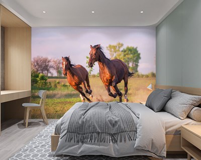 Snel rennend paard met afbeelding op behang