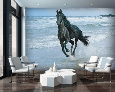 Paard dat langs de kust rent met afbeelding op muurbehang
