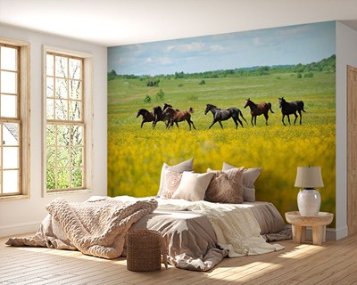 Groene velden met rennende paarden behang