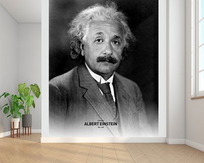 Albert Einstein-thema behang