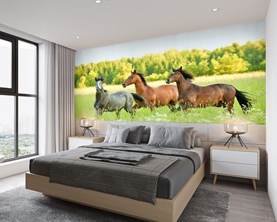 Behang met paarden en natuurlandschap 