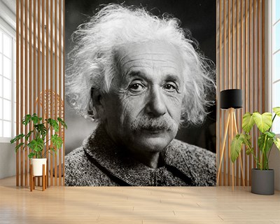 Albert Einstein fotobehang 