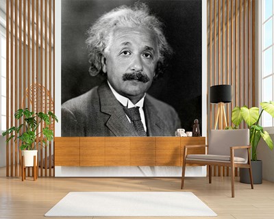 Albert Einstein-thema behang