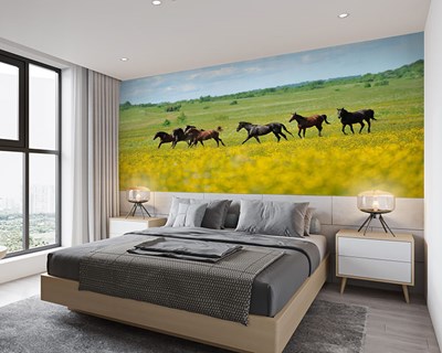 Groene velden met rennende paarden behang