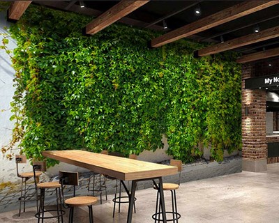 Behang met klimplantmotief 