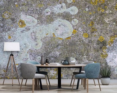 Verouderd betonlook behang 