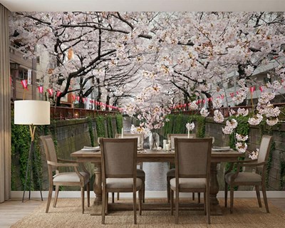 Kersenbloesemtakken Behang