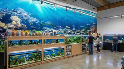 3D-behang met oceaanzicht