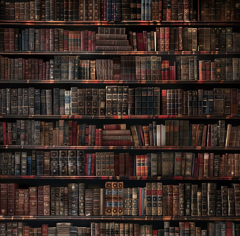 Behang met bibliotheekmotief