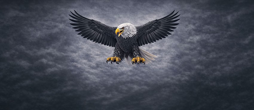 Behang met afbeelding van een vliegende arend